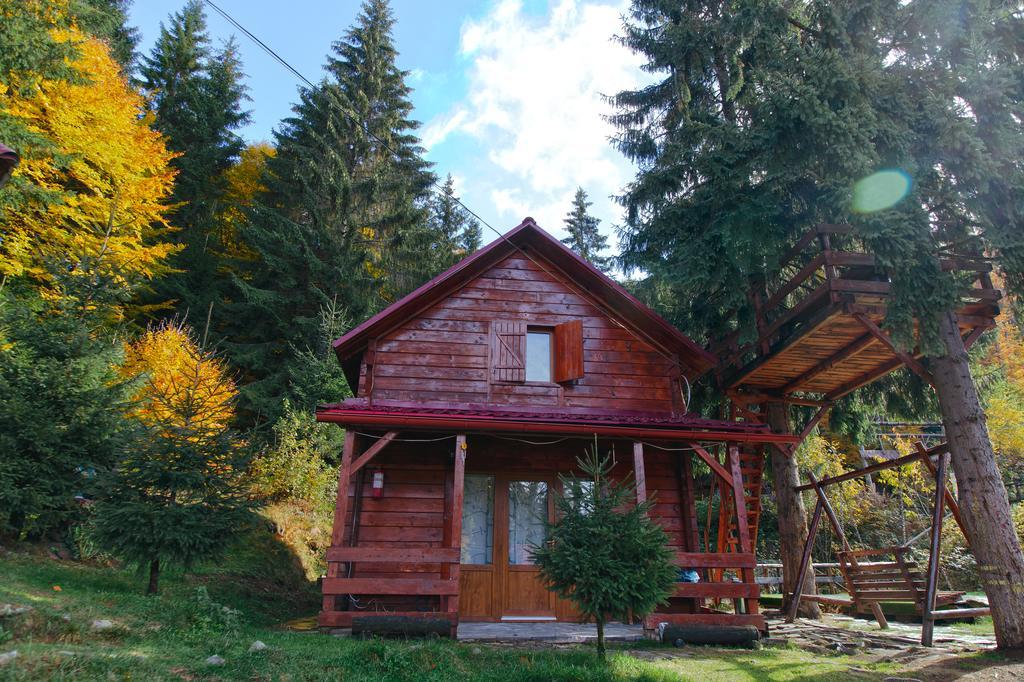 Mountain Apartments Superski Cavnic Habitación foto